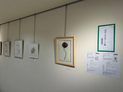 ボタニカルアート廊下展1.jpg
