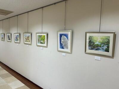 平野先生廊下展3.jpg