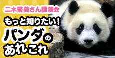 もっと知りたい！　パンダのあれこれ