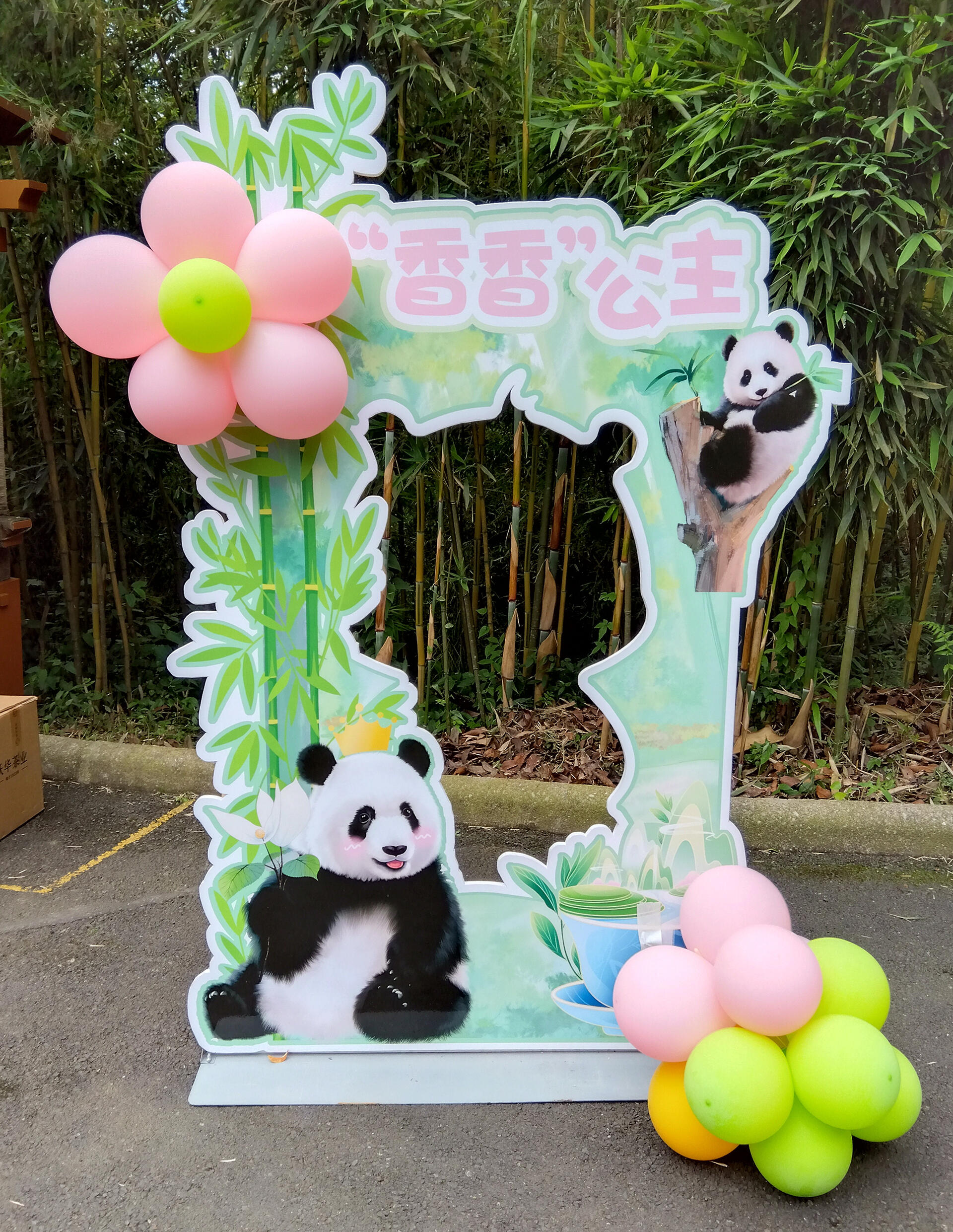 シャンシャン誕生日のフォトスポット