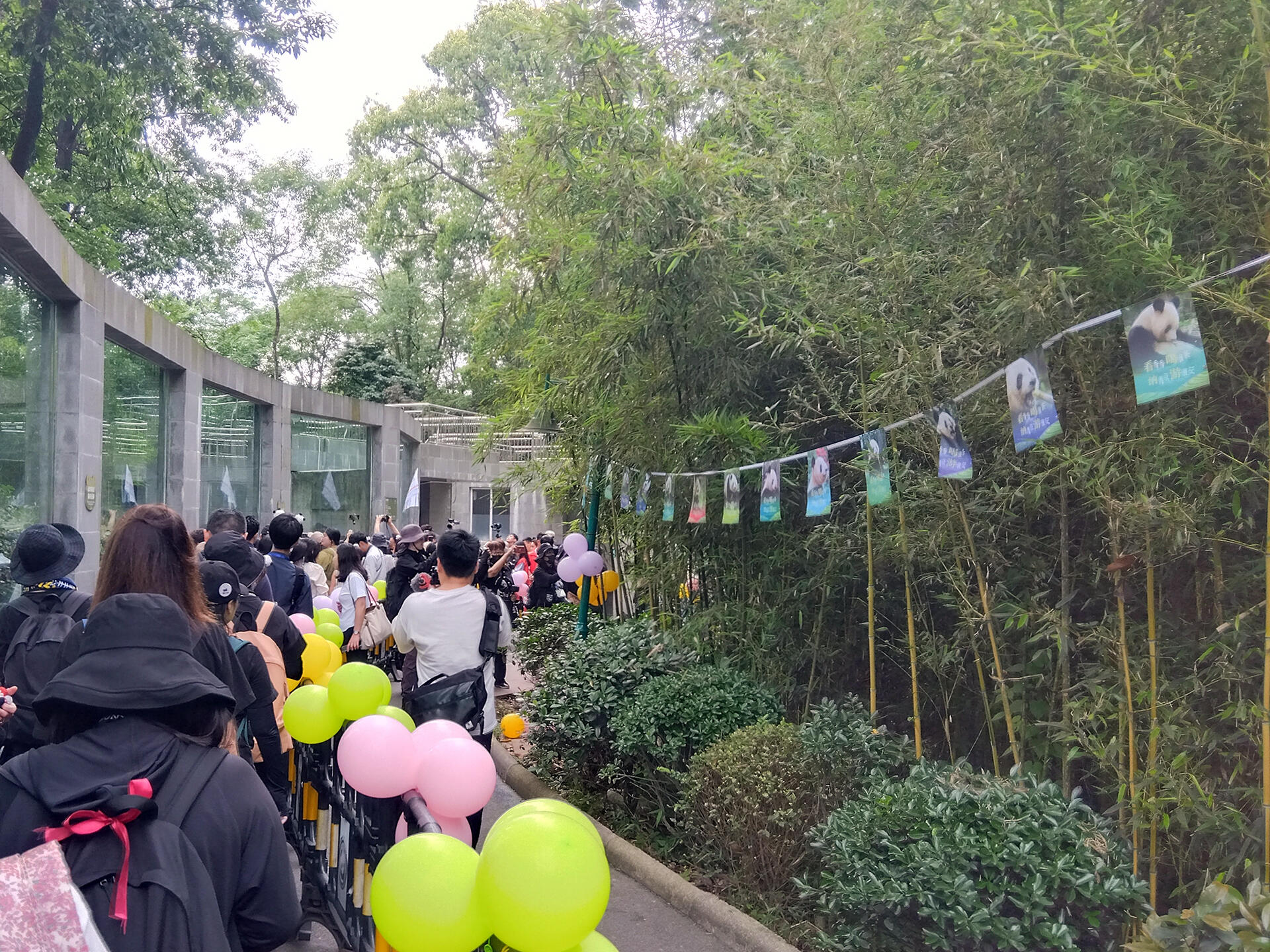 シャンシャン誕生日の行列