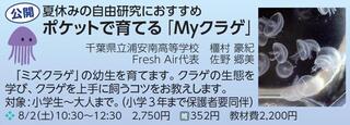 くらげ.jpg