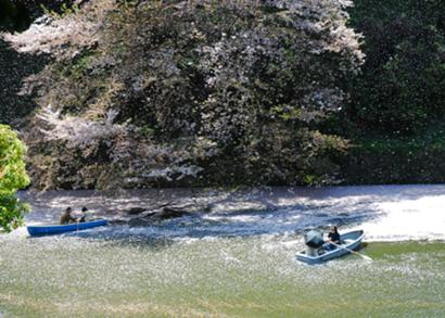 今野洋一のワンポイント写真塾